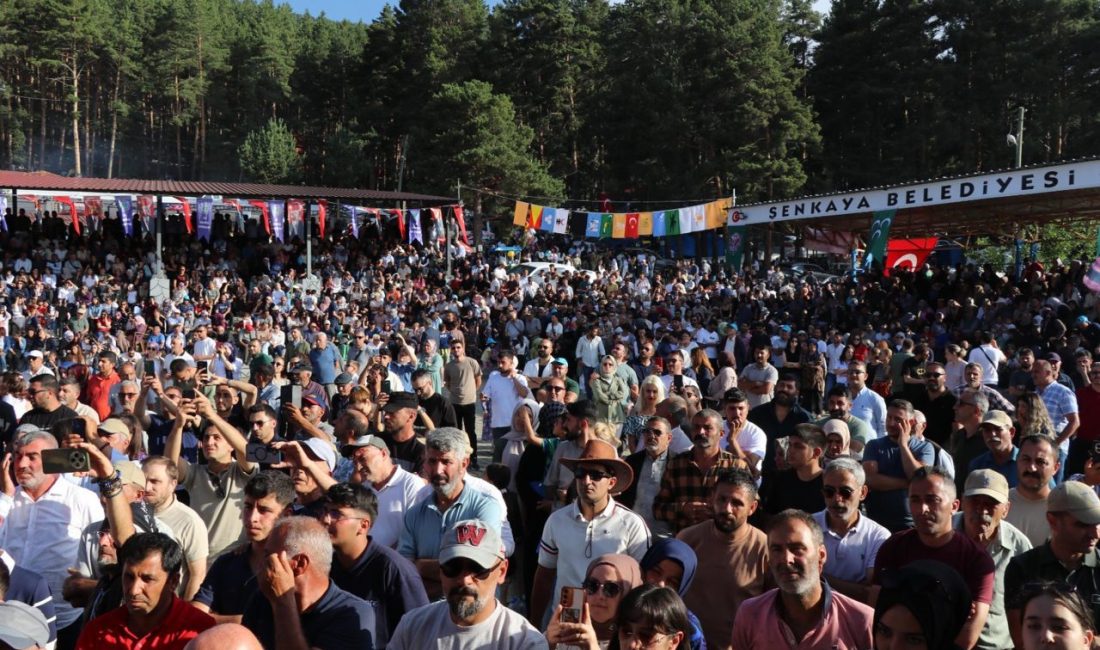 Dursun Murat AYDIN/ŞENKAYA, (Erzurum), – ERZURUM’un Şenkaya ilçesinde bu yıl