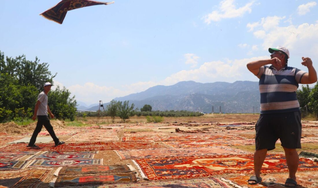 İrem BAŞDAŞ/ANTALYA, -ANTALYA’da buğday hasadının ardından boş kalan tarlalar, bu