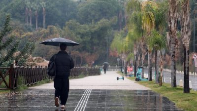 Mehmet ÇINAR/ANTALYA, – BU yıl haziran ayında yağışlar, geçen yılın