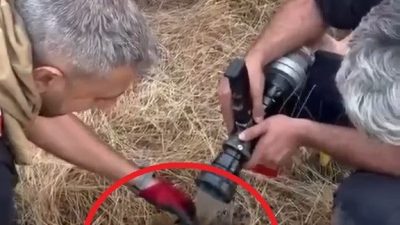 YANGIN SÖNDÜRÜLDÜ, KAPLUMBAĞA KURTARILDI Diyarbakır’ın Lice ilçesi kırsal Türeli Mahallesi