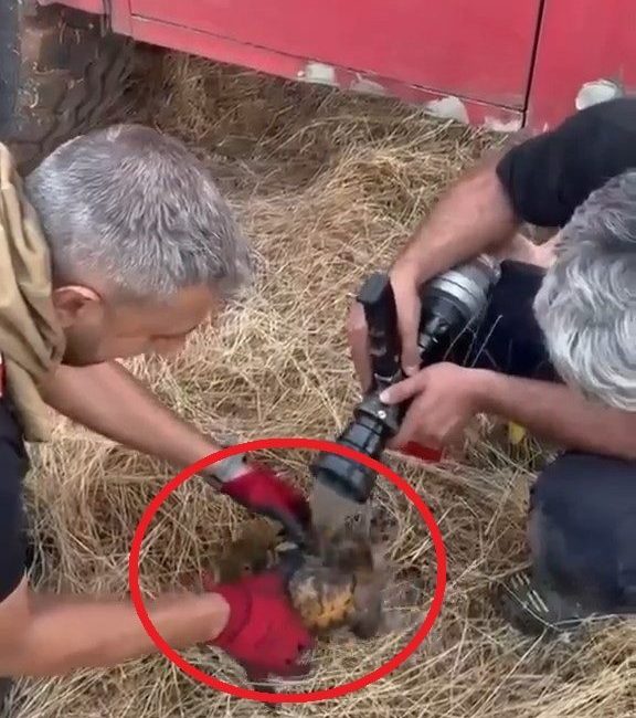 YANGIN SÖNDÜRÜLDÜ, KAPLUMBAĞA KURTARILDI Diyarbakır’ın Lice ilçesi kırsal Türeli Mahallesi