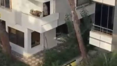 Mert ORDU / İSTANBUL -MALTEPE’de bir evden yükselen çığlıklar üzerine