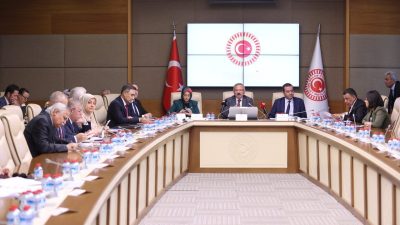 Aliekber METE/ ANKARA, – TBMM Şanlıurfa ve Kahramanmaraş Okul Olaylarını