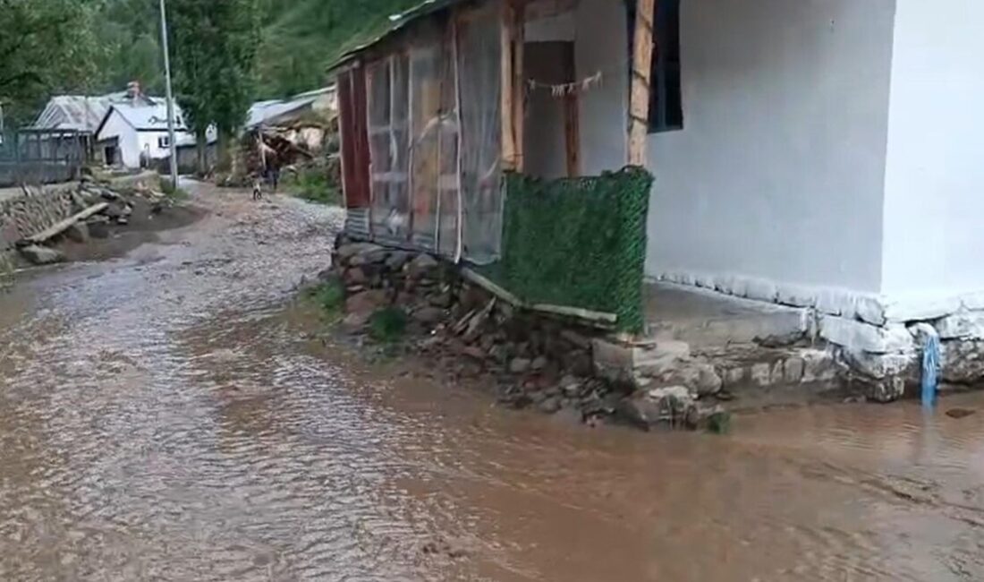 Dursun Murat AYDIN/OLTU (Erzurum), – ERZURUM’un Oltu ilçesi Çatak Mahallesi’nde