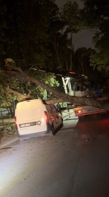 Mert ORDU / İSTANBUL, – İSTANBUL’da akşam saatlerinde etkili olan