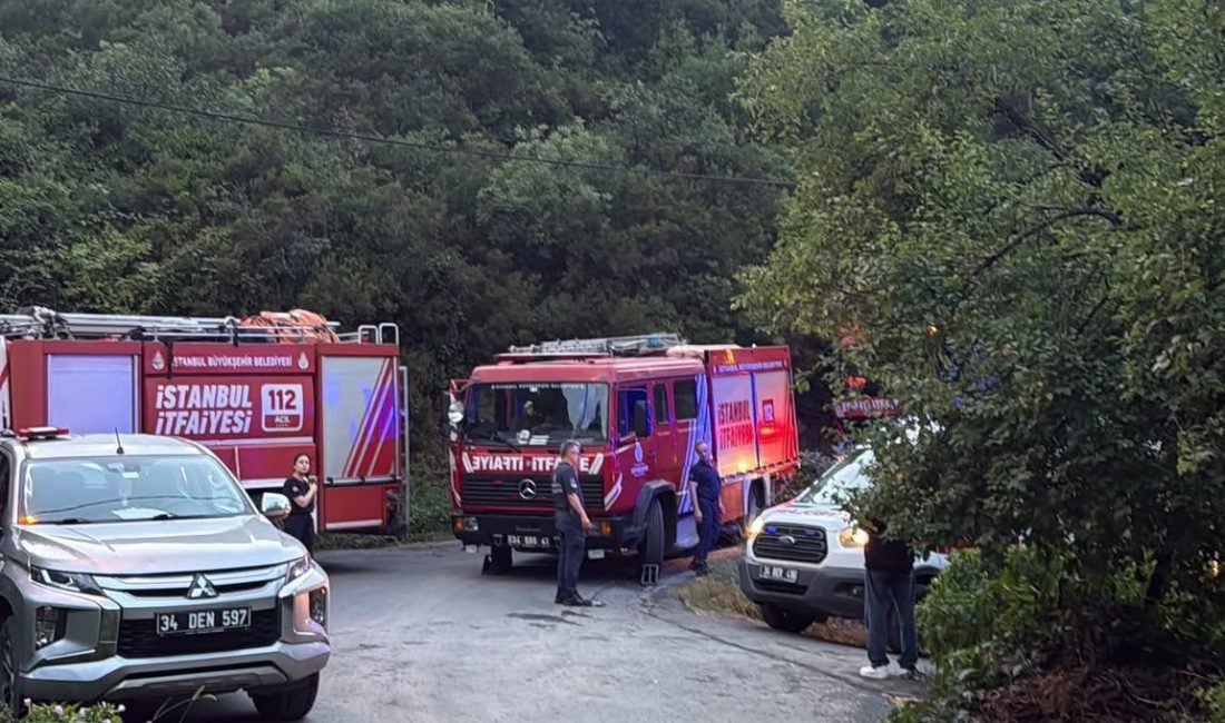 Doğan Can CESUR-Serap TÜRKOĞLU /İSTANBUL – SARIYER’de ormandan yükselen alevler