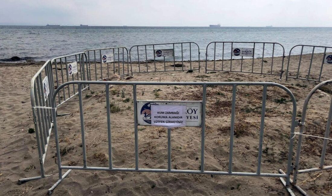 Nuri ÇAĞLAR/ŞARKÖY(Tekirdağ), – TEKİRDAĞ’ın Şarköy ilçesindeki yazlığına gelen emekli hidrobiyolog