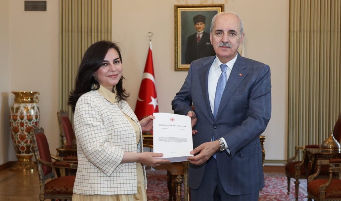 Aliekber METE/ ANKARA, – TBMM’de Çocukların Suça Sürüklenmesine Yol Açan