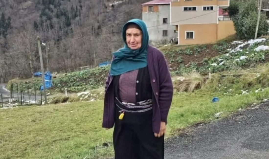 TRABZON, – TRABZON’un Düzköy ilçesinde Paşa G. (64), ‘ot biçme’