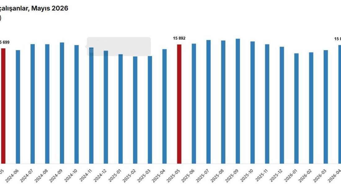 Umutcan ÖREN/ANKARA, – TÜRKİYE İstatistik Kurumu (TÜİK), sanayi, inşaat ve