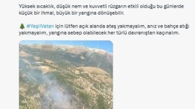 ANKARA, – ORMAN Genel Müdürlüğü (OGM), Bursa’nın Kestel ve Yenişehir
