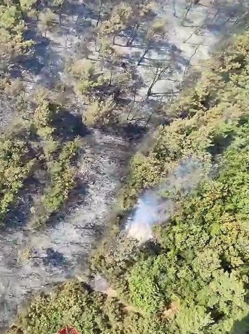 2 UÇAK VE 4 HELİKOPTERLE MÜDAHALE EDİLİYOR Bursa’nın Kestel ve