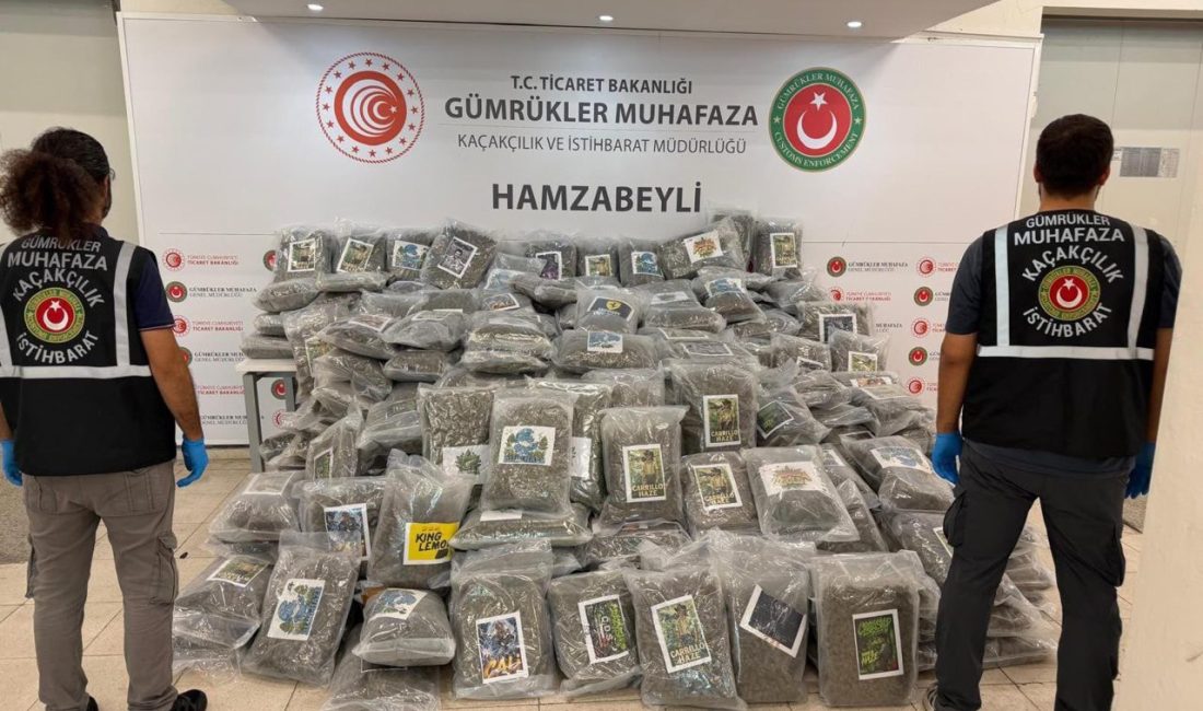 Olgay GÜLER/ EDİRNE, – EDİRNE’den Bulgaristan’a açılan Hamzabeyli Sınır Kapısı’nda