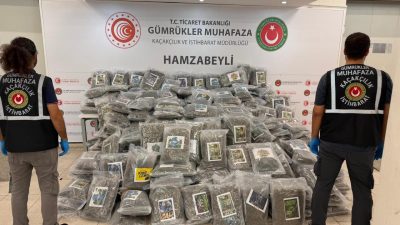 Olgay GÜLER/ EDİRNE, – EDİRNE’den Bulgaristan’a açılan Hamzabeyli Sınır Kapısı’nda