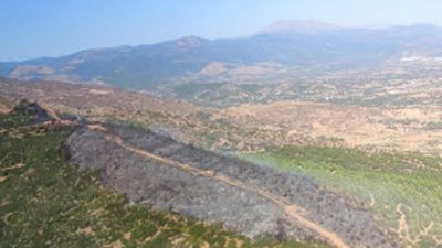 BÜYÜK ÖLÇÜDE KONTROL ALTINA ALINDI İzmir’in Ödemiş ilçesinde saat 15.00