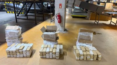 ANKARA, – ANKARA’nın Kahramankazan ilçesinde kargo aktarma merkezinde gerçekleştirilen rutin