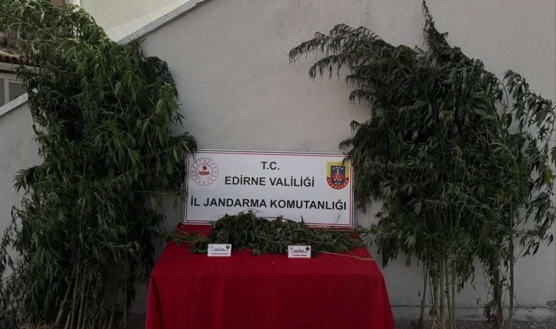Ünsal YÜCEL/ UZUNKÖPRÜ(Edirne), – EDİRNE’nin Uzunköprü ilçesinde M.G. (41), jandarma