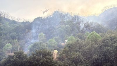 KONTROL ALTINA ALINDI Manisa’nın Turgutlu ilçesi Osmancık Mahallesi’nde makilik alanda