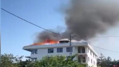Doğan Can CESUR / İSTANBUL – SARIYER’de Emirgan Korusu güçlendirme