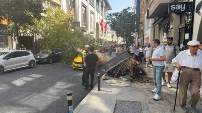 Doğan Can CESUR-Hasan YILDIRIM/İSTANBUL – ŞİŞLİ’de devrilen ağaç, park halindeki