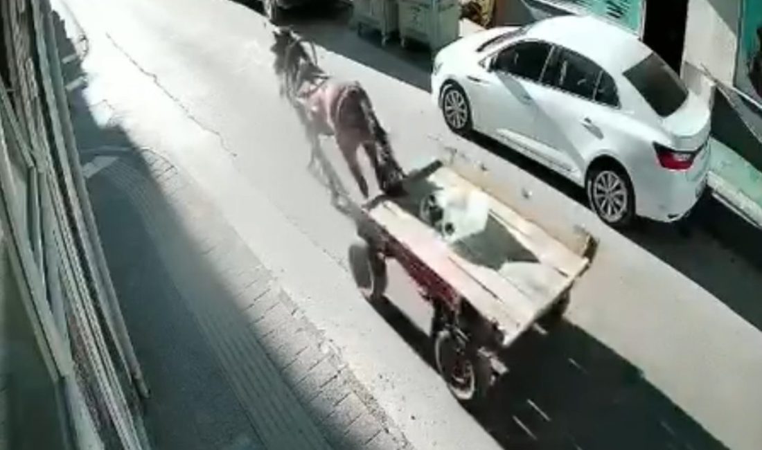 Ünsal YÜCEL/UZUNKÖPRÜ(Edirne), -EDİRNE’nin Uzunköprü ilçesinde üzerinde sürücü bulunmayan at arabası,
