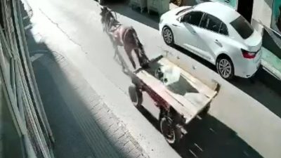 Ünsal YÜCEL/UZUNKÖPRÜ(Edirne), -EDİRNE’nin Uzunköprü ilçesinde üzerinde sürücü bulunmayan at arabası,