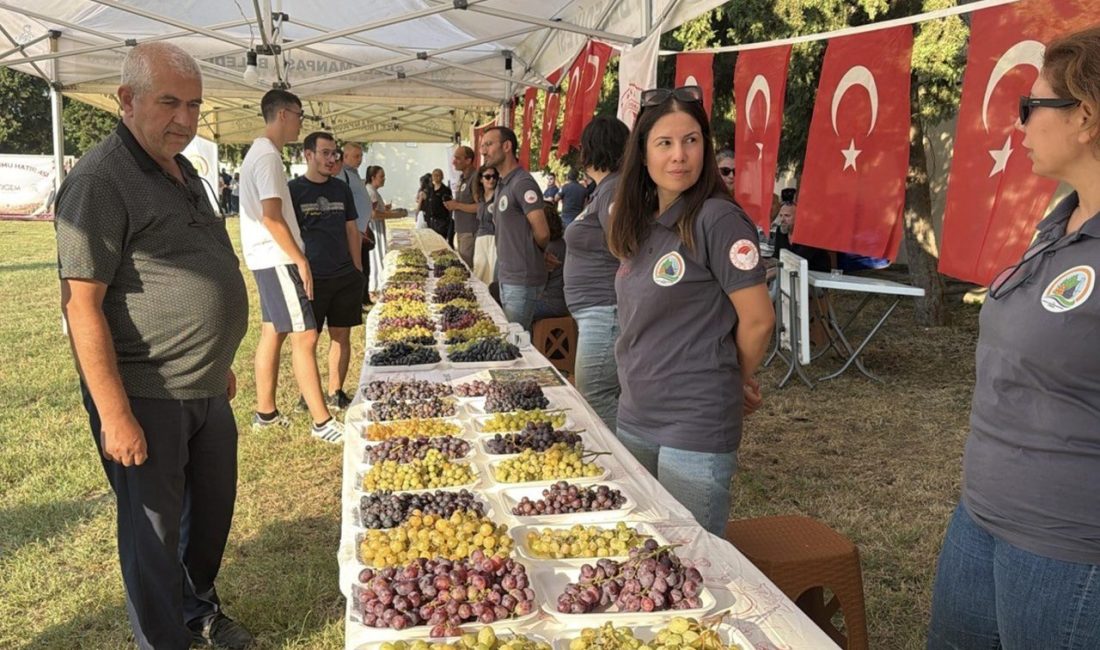 Abdullah YALÇIN/ TEKİRDAĞ, – TEKİRDAĞ’da bu yıl 14’üncüsü düzenlenen Bağ